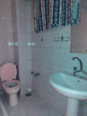 a bathroom with a pink toilet and a sink at Ramsess Hotel in Luxor