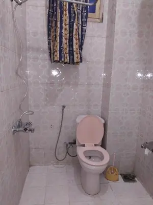 a bathroom with a toilet and a shower at Ramsess Hotel in Luxor
