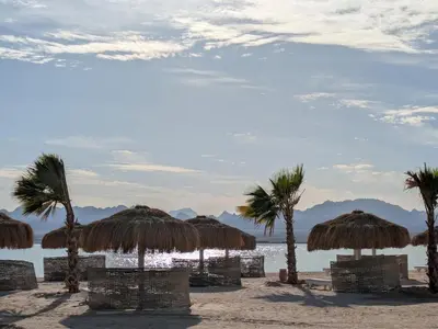 a group of straw umbrellas on a beach with palm trees at 2BR Pool Front Soma bay Villa Near Mesca Beach in Hurghada