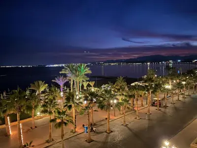 a row of palm trees on a beach at night at Tawaya Sahl Hasheesh 2 bedrooms in Hurghada