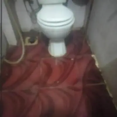 قنا الشؤن