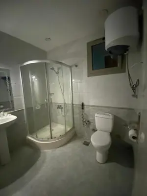 a bathroom with a shower and a toilet and a sink at Nile Plaza Suites in Aswan