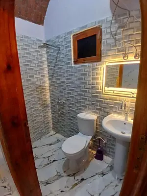 a bathroom with a toilet and a sink at ARKN angel Nubian Guest House in Jazīrat al ‘Awwāmīyah