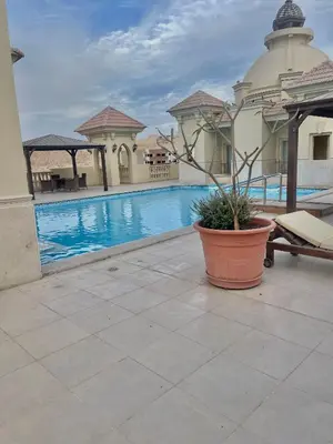 a potted plant sitting on a patio next to a pool at Elegant one bedroom apartment managed by Lilly Homes in Hurghada
