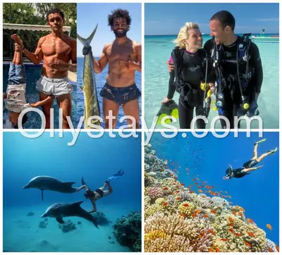 a collage of photos of people in the ocean at Ollystays Mangroovy 2 BR Beach and Pool Free access in Hurghada