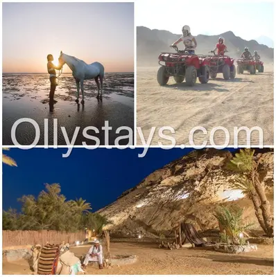 a collage of two pictures of people and a horse on the beach at Ollystays Mangroovy 2 BR Beach and Pool Free access in Hurghada