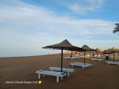 a row of umbrellas and benches on a beach at Palma Resort Apartments and Suites with Private Beach in Hurghada
