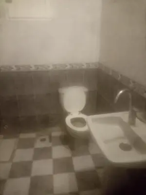 a bathroom with a toilet and a sink at New senger tood in Naj‘ al ‘Amrāb