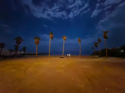 a group of palm trees on the beach at night at Juliana beach resort in Hurghada