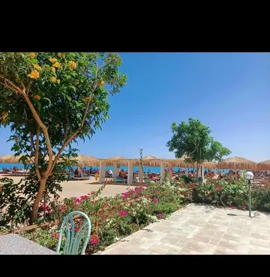 a chair sitting in front of a garden with flowers at Oasya Studio Hurghada in Hurghada