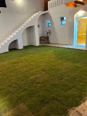 Gallery image of Spirit valley villa in Luxor