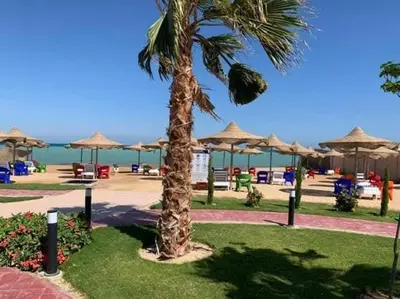 a palm tree in a park with umbrellas on the beach at Casablanca Beach Appartment in Hurghada