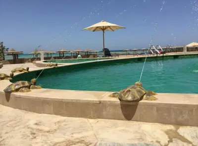 a swimming pool with three frogs in the water at Modern 1BR Seaside Apartment C1 in Turtles Beach in Hurghada