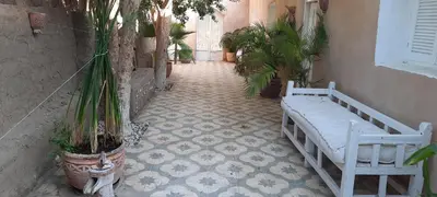 a hallway with plants and a bench on a tiled floor at Desert studio in Al Aqālitah