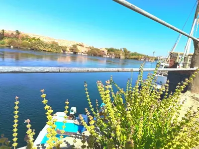 a boat on a river with flowers in the foreground at Shellaly Ca Nubian Guest2 House in Jazīrat Salūjah