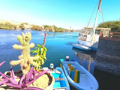 two boats are docked in a river with a plant at Shellaly Ca Nubian Guest2 House in Jazīrat Salūjah