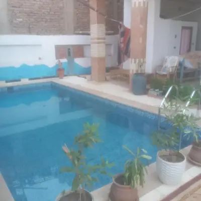 a large swimming pool with potted plants next to it at Many hahaha in Luxor