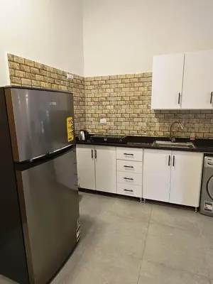 a kitchen with a stainless steel refrigerator and white cabinets at Malika House in Luxor