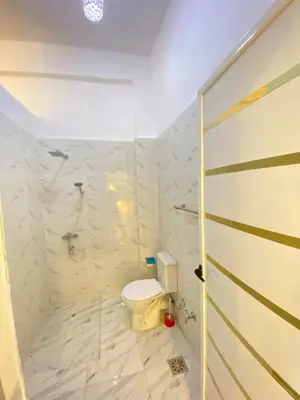 a bathroom with a toilet and a glass shower door at Alena guest house in Jazīrat al ‘Awwāmīyah