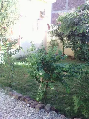 a garden with trees and rocks in front of a building at Garden Level Oasis Near Nile in Luxor