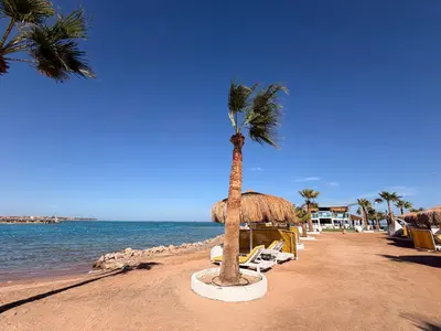 a palm tree on a beach with chairs and umbrellas at Casa Seherezade in Hurghada