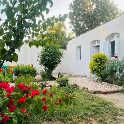 Nile Flower Guesthouse