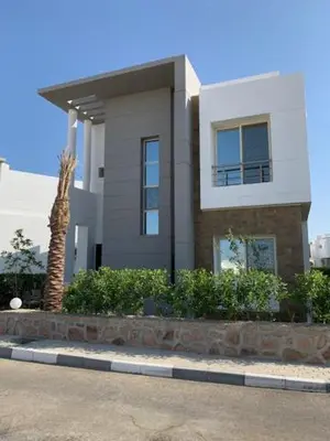 a house with a palm tree in front of it at Sky Star Villa 30 in Hurghada