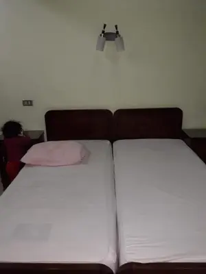 two beds sitting next to each other in a room at Obelisk house in Luxor
