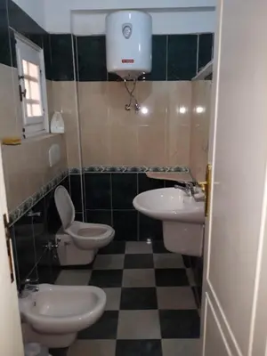 a bathroom with two toilets and a sink at Obelisk house in Luxor