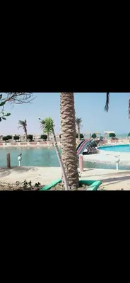 a view of a swimming pool with a palm tree at Al helal in Hurghada