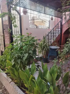 a garden with plants and a bench in a building at The Nile Dome Garden Suite in Luxor