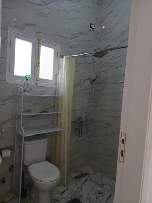 a bathroom with a toilet and a shower at Villa Mena Luxor in Luxor