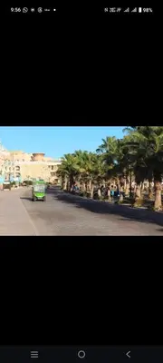 a green car driving down a street with palm trees at Sahl hashish in Hurghada