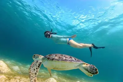 a person swimming next to a turtle in the ocean at Jo travels in Hurghada
