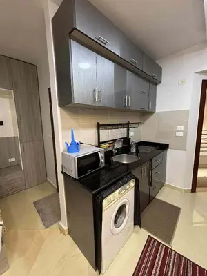 a kitchen with a washing machine and a microwave at Sunrise Luxury Apartment in Hurghada