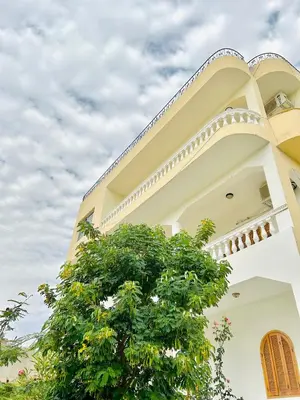 a building with a tree in front of it at Durrat al-Nahr in Luxor