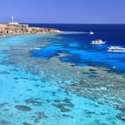 شقه لك ب الكامل فندقي