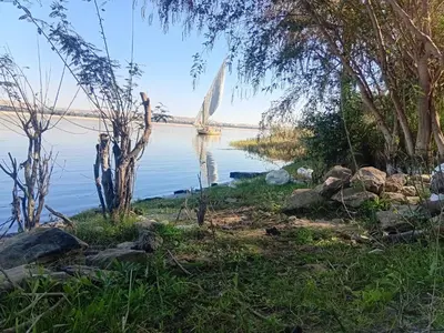 a sail boat on the water with trees at Aswan all-inclusive private felucca in Aswan