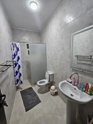 a bathroom with a sink and a toilet and a shower at Sky View in Hurghada