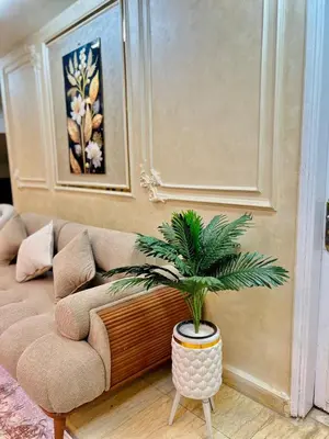 a living room with a couch and a potted plant at Aswan City Center Hotel in Aswan