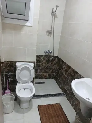 a bathroom with a toilet and a sink at Luona House in ‘Ezbet Abu Ḥabashi