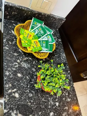 a pile of chips and a plant on a counter at Hurghada Apartment in Hurghada