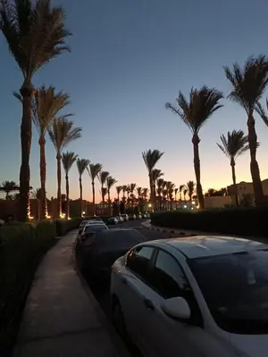 a group of cars parked on a street with palm trees at Cozy Chalet In Stella Makadi Beach Resort Hurghada in Hurghada