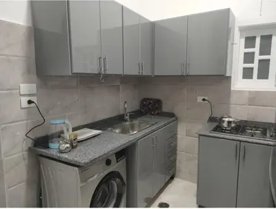 a kitchen with a sink and a washing machine at Desert Daisy in Luxor
