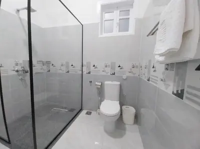 a white bathroom with a toilet and a shower at Desert Daisy in Luxor