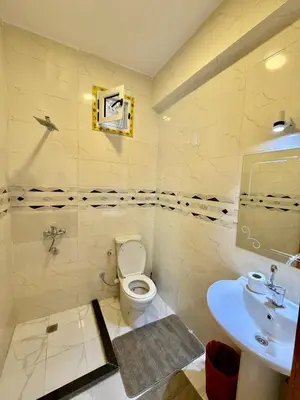 a bathroom with a toilet and a sink at Anubis Guesthouse in Luxor