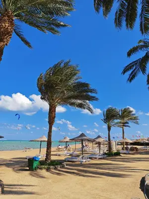 a beach with palm trees and chairs and the ocean at cozy sea view apartment palma resort in Hurghada