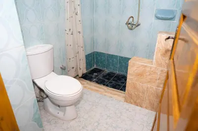 a bathroom with a toilet and a shower at Harmonia House in Al Karnak