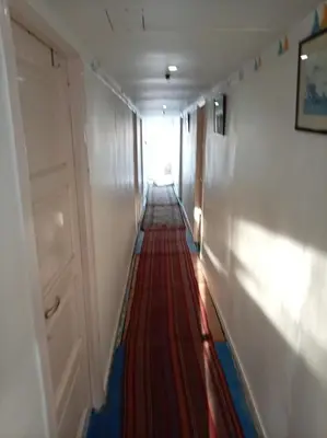 a hallway with a long red carpet in a room at Nile Dream Yacht in Jazīrat Salūjah