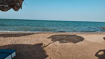 a shadow of a person on the beach at Seaside studio with private Beach and pool in Hurghada